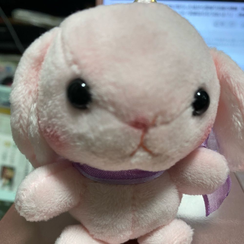 おいのさくや