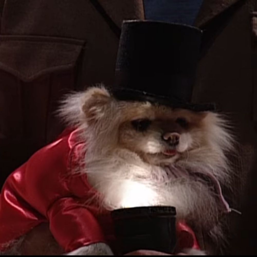 run the jul(i)es
