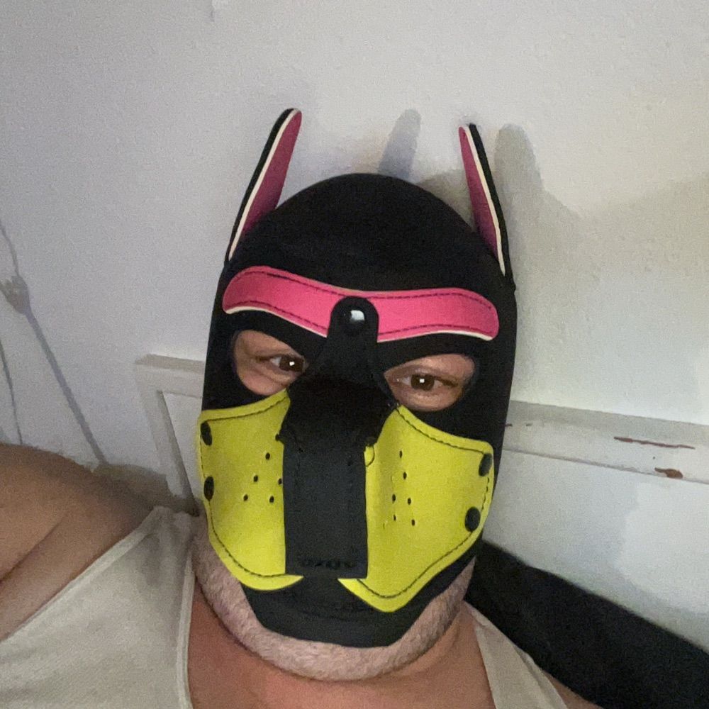 Pup Minion