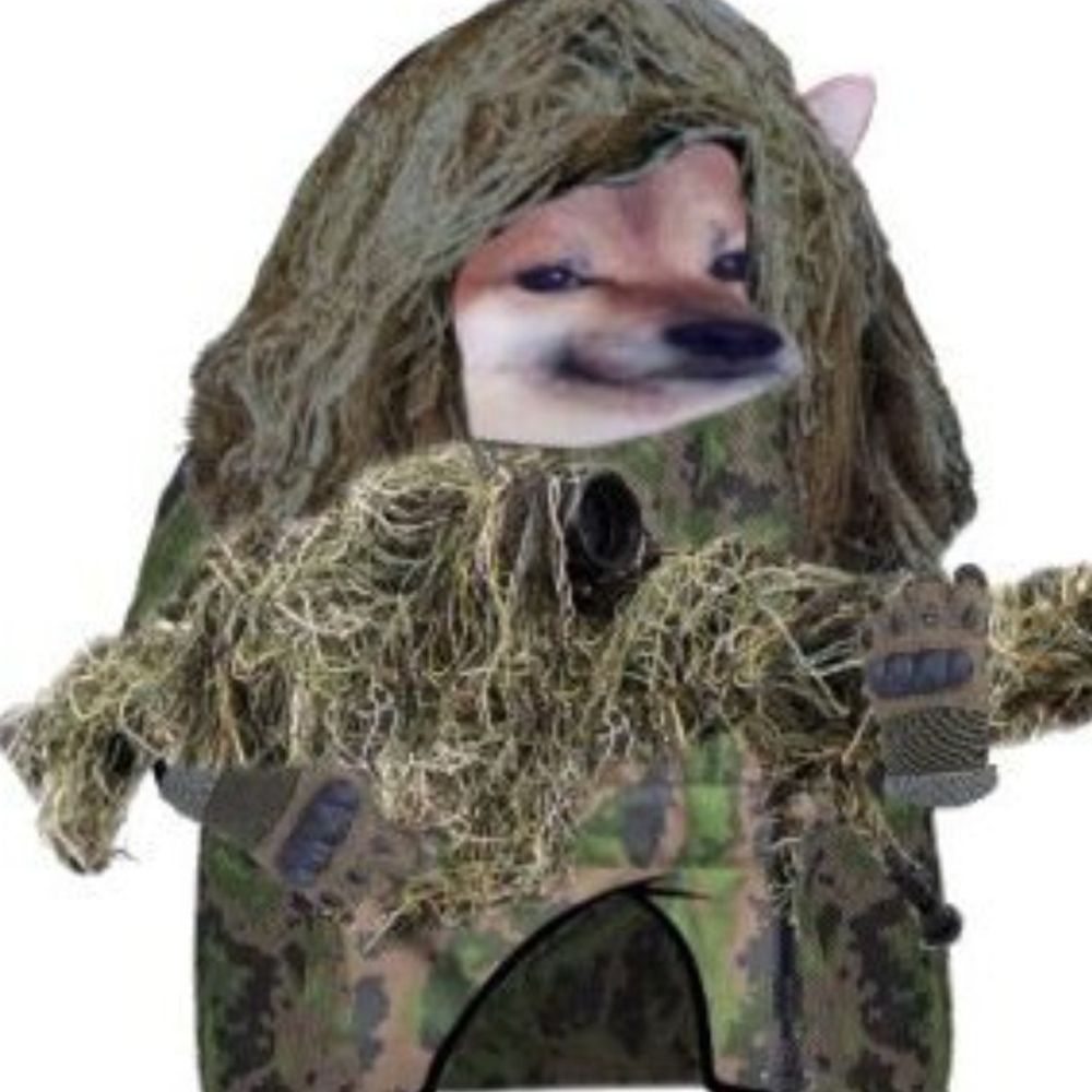 Jari Sillanpää