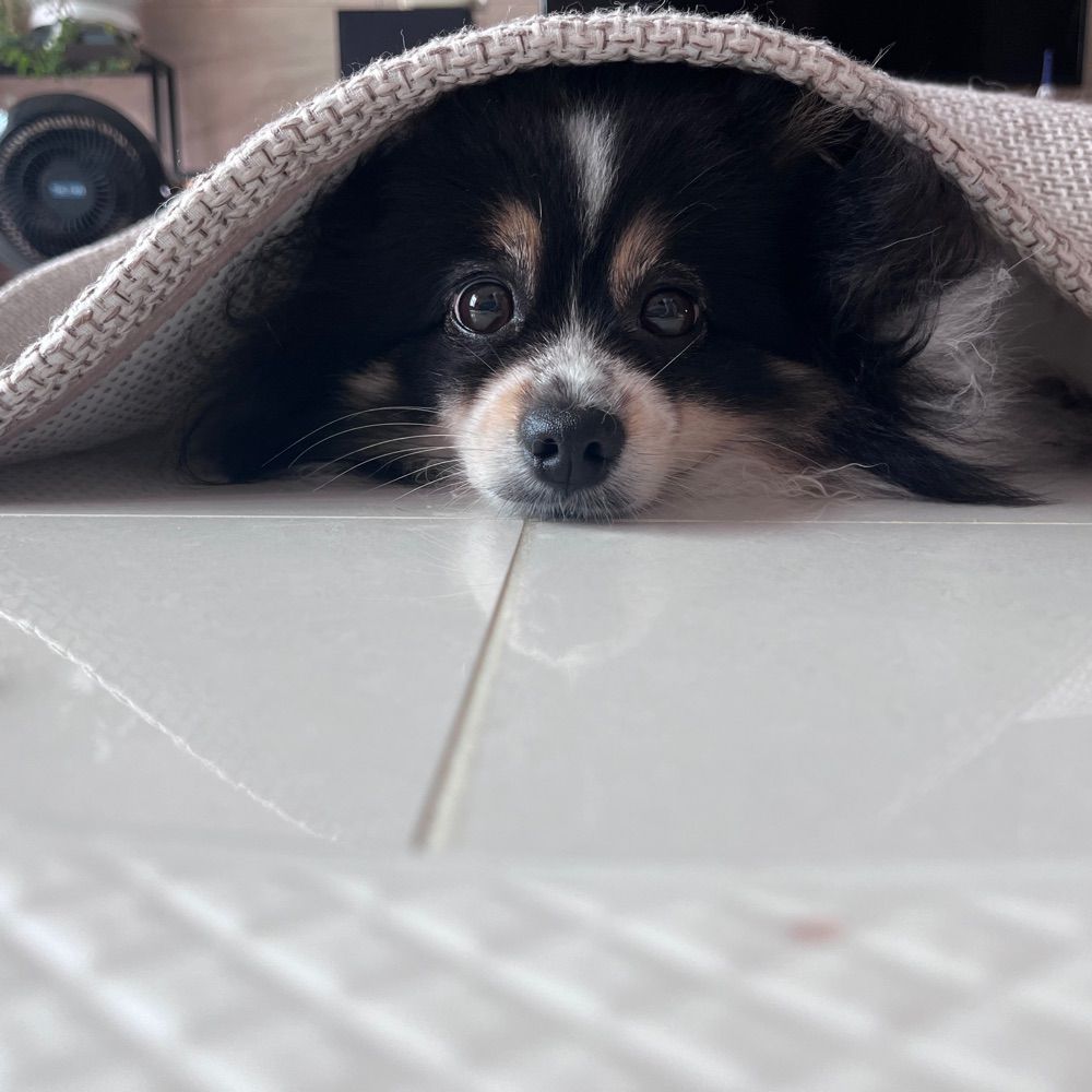 독터❗️