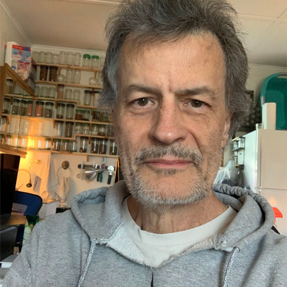 Bob Stein