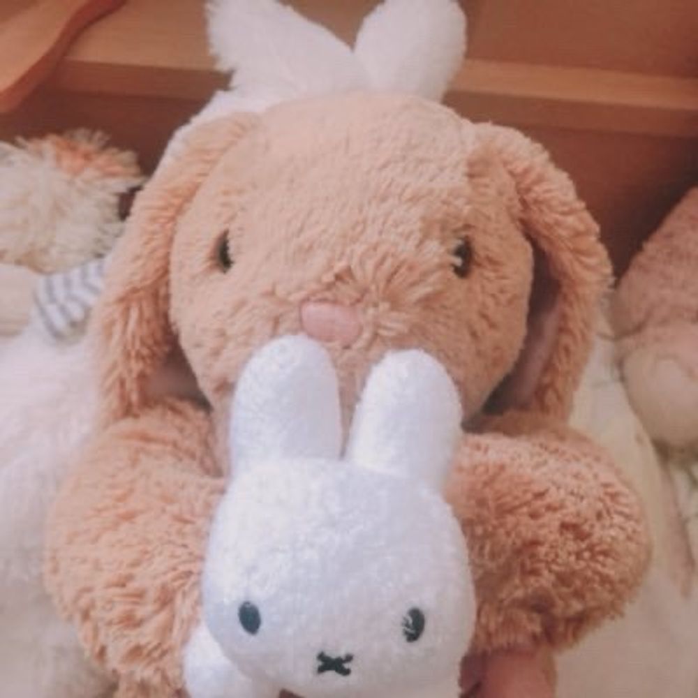 なのすけ