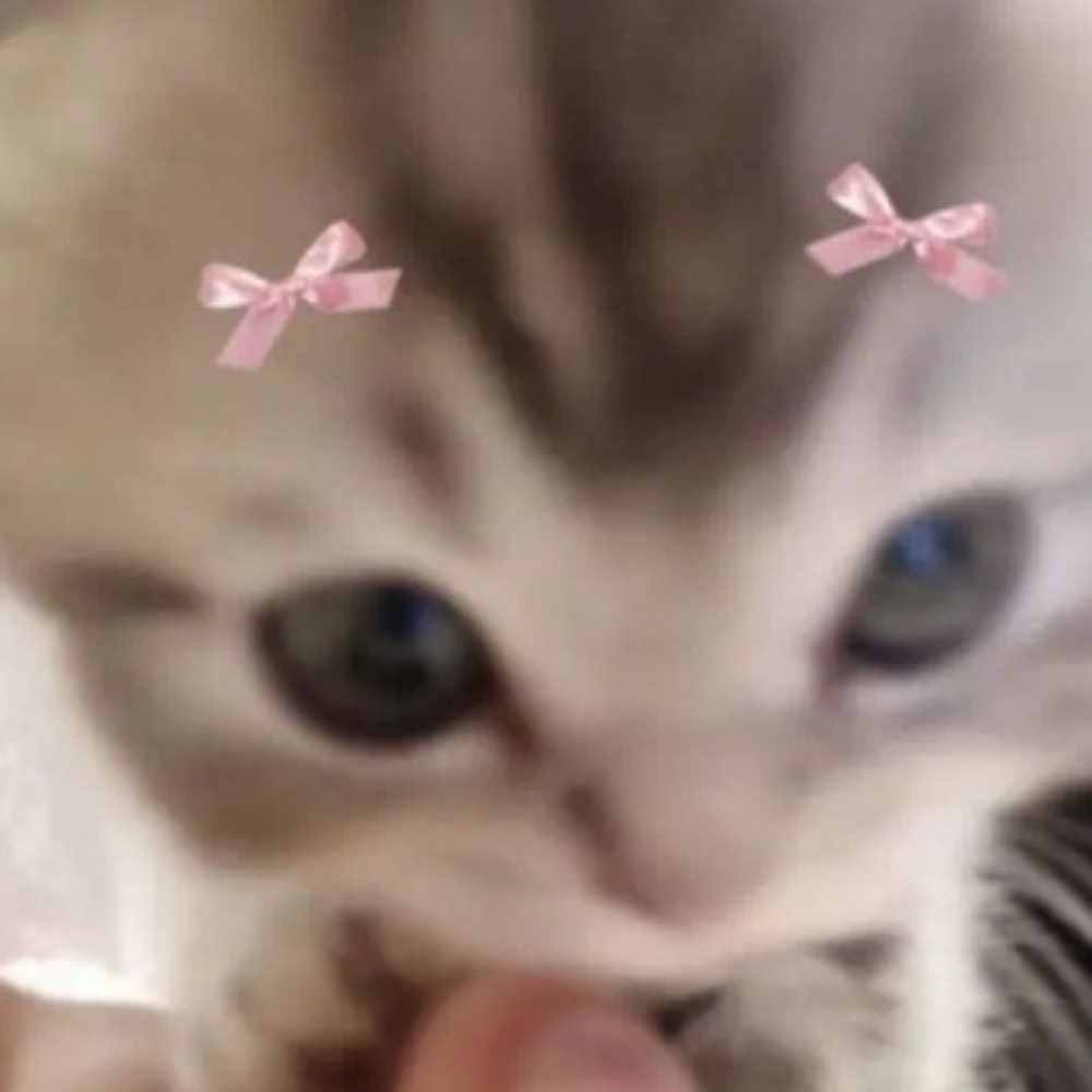 Vivi~