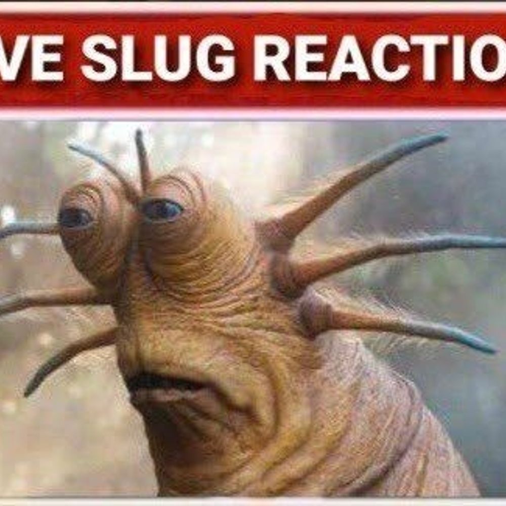 Sam