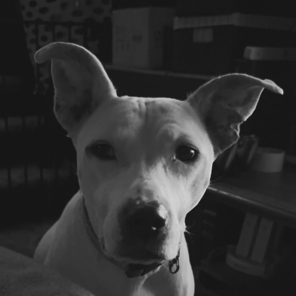 Jaci
