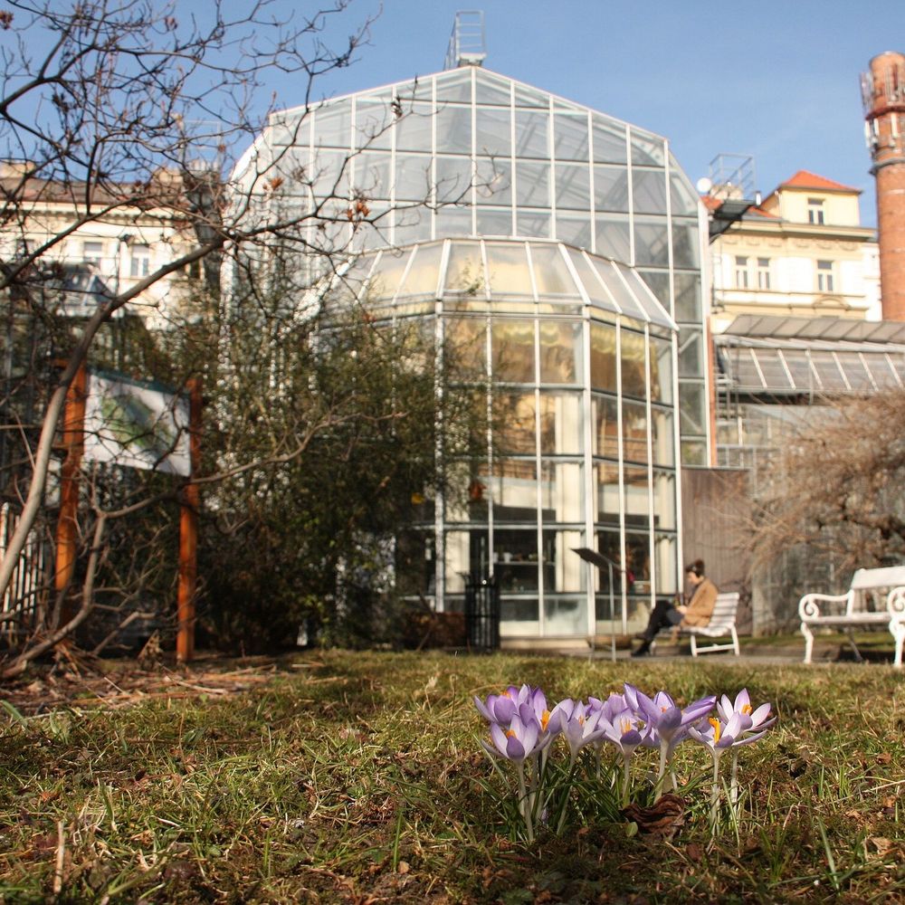 Botanická zahrada Přírodovědecké fakulty Univerzity Karlovy