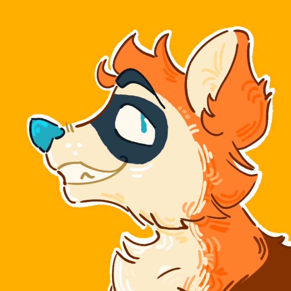 Ashie Raccon
