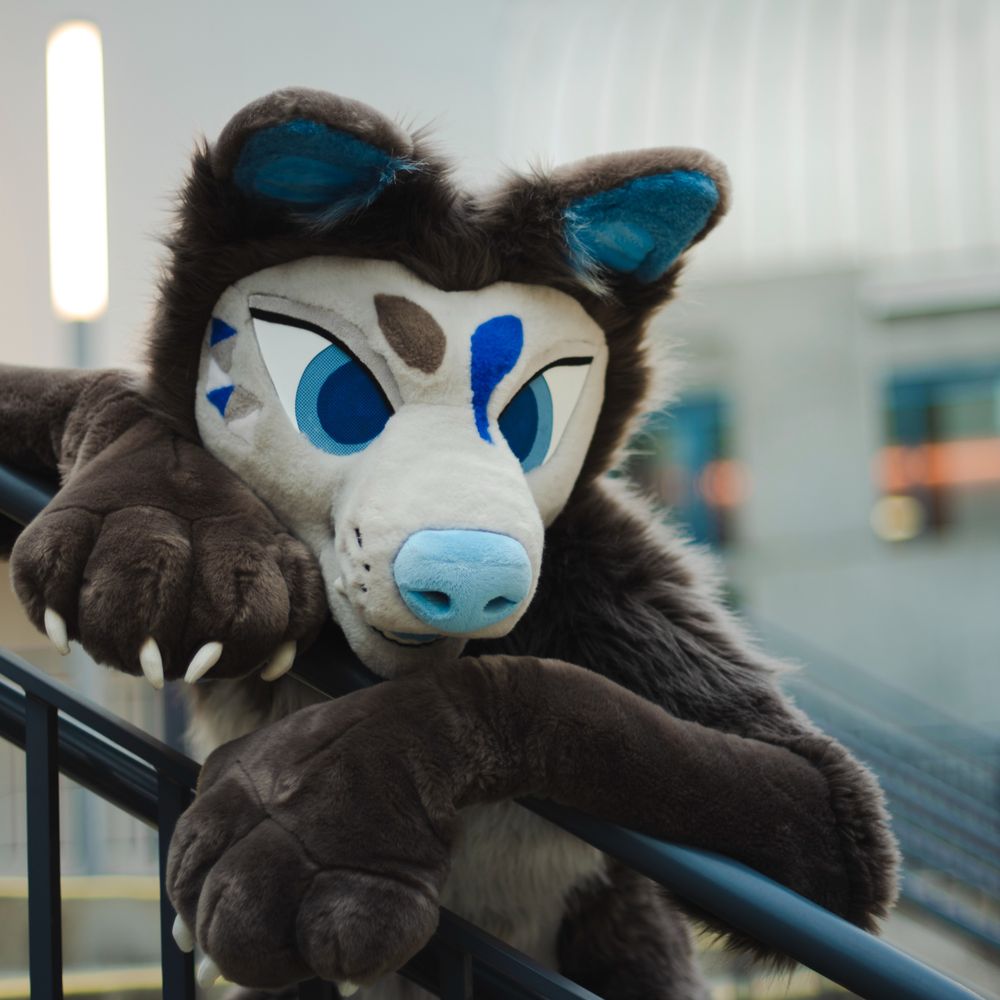 vilk suit