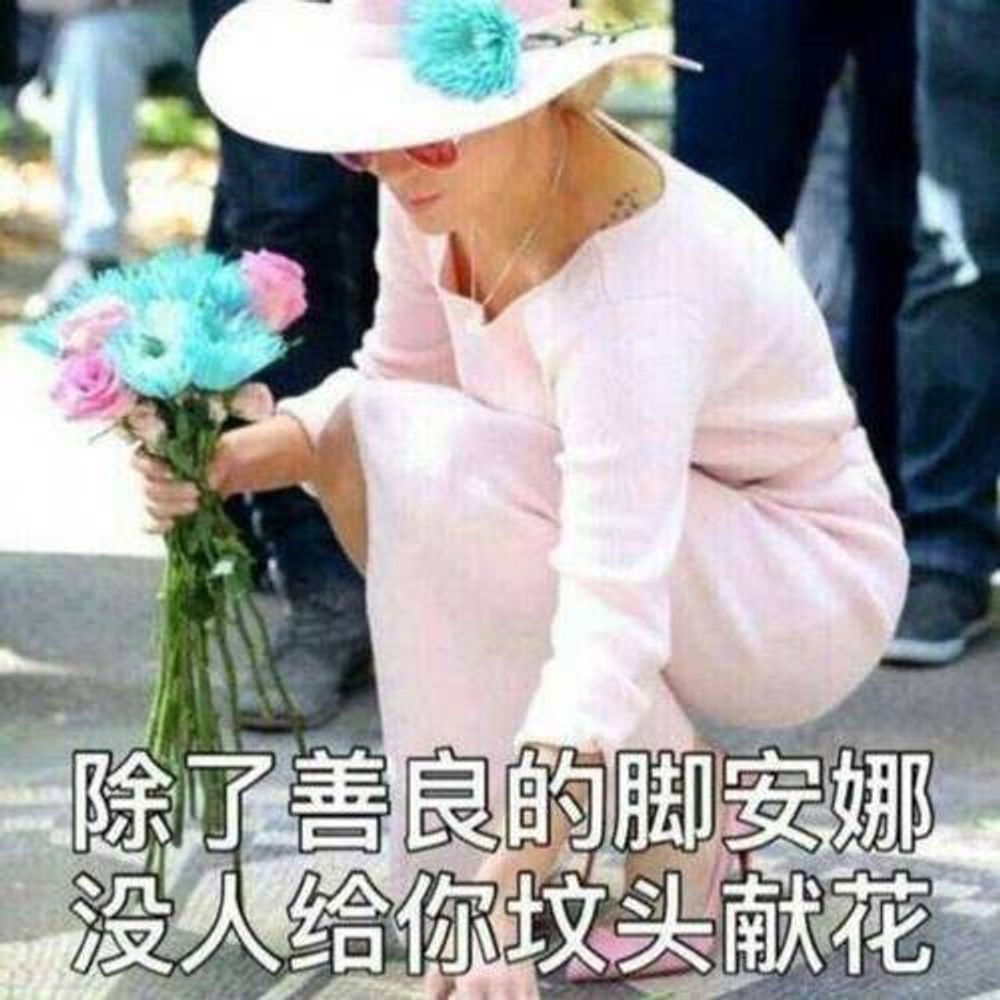 上海熊1