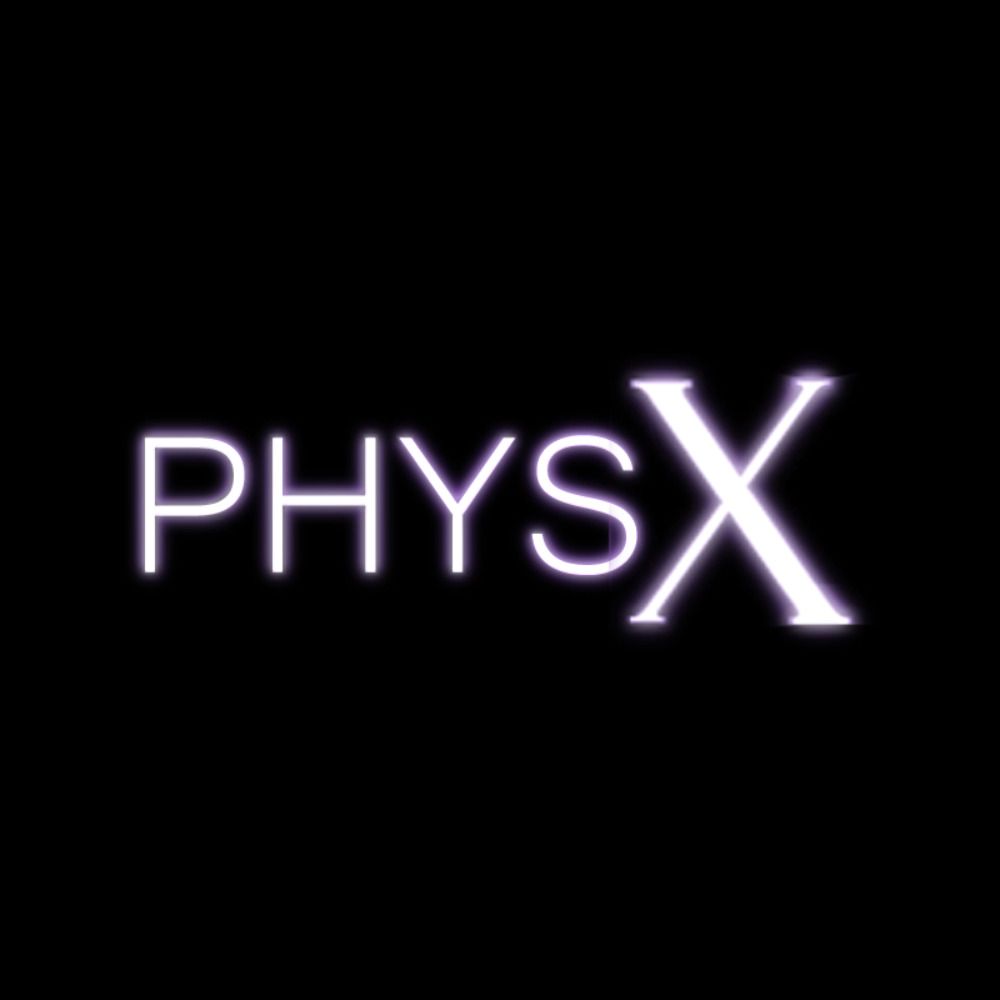 PhysX