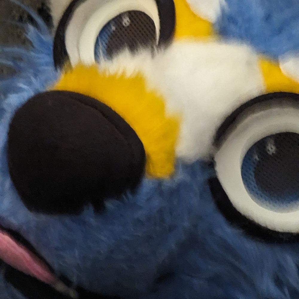 Zororeo!