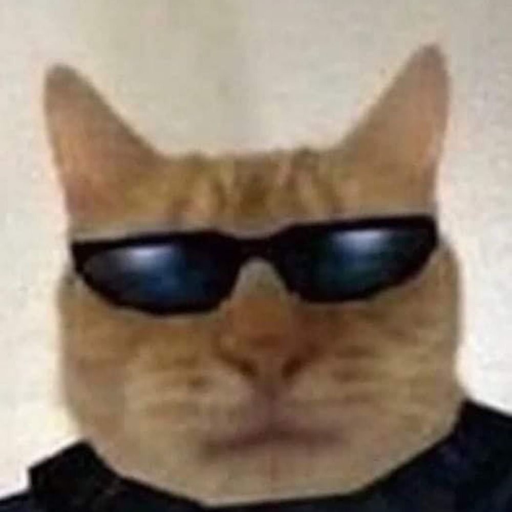 DISCO MAN