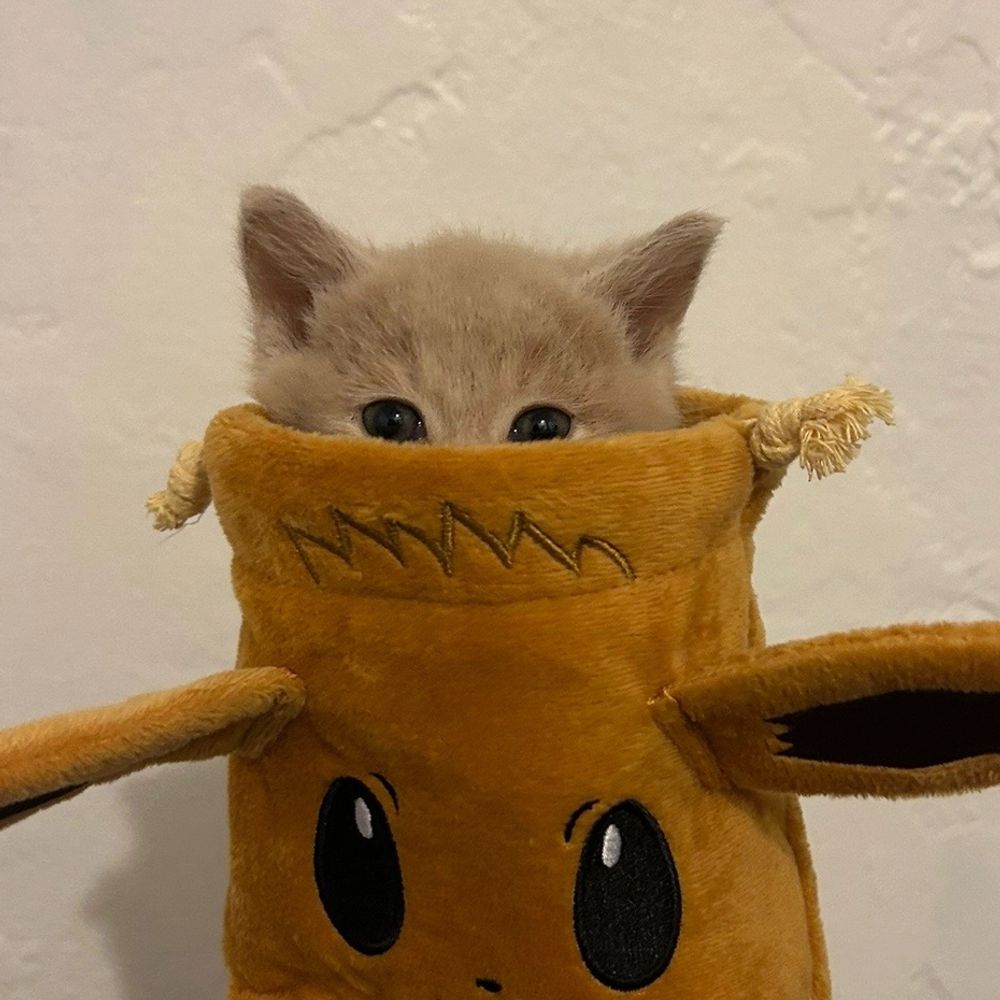 lu