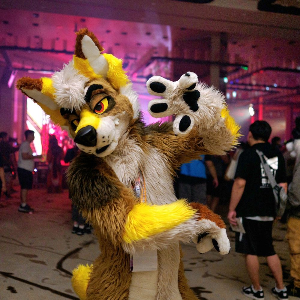 Mustard Coyote