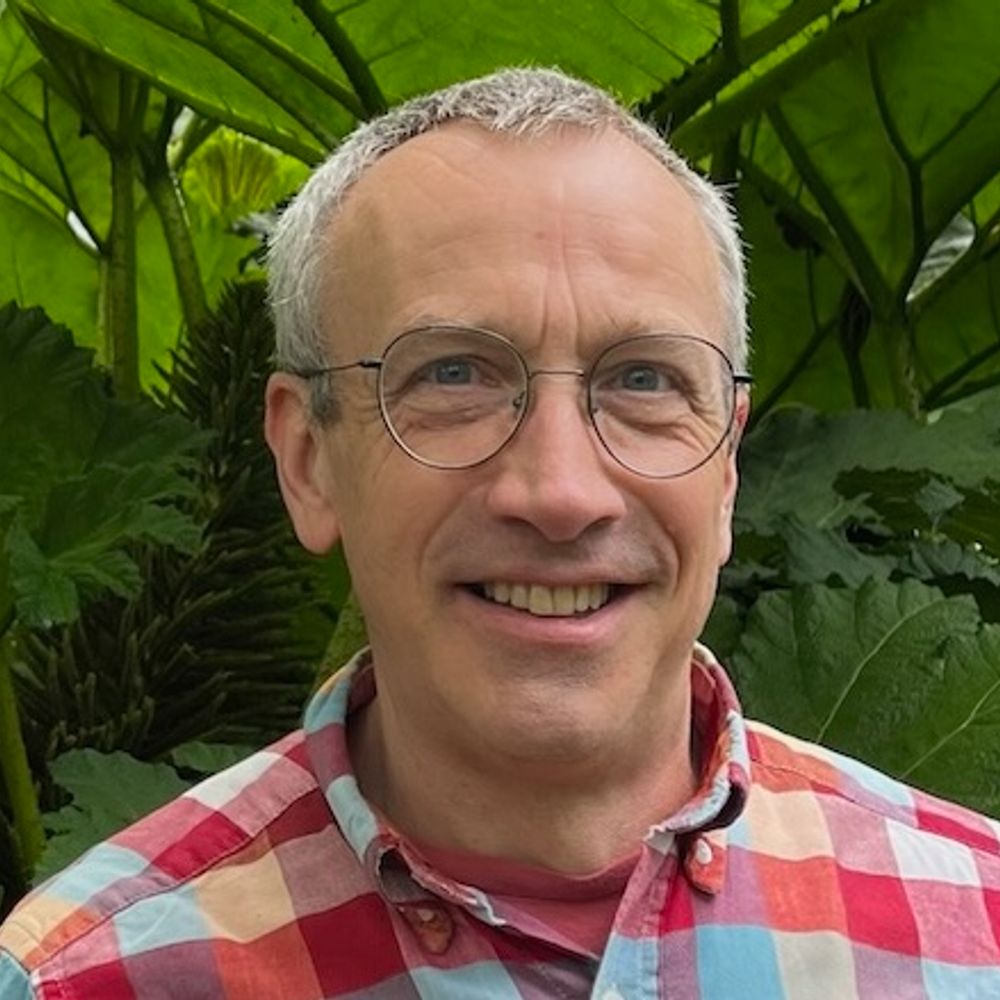 Nick Safford