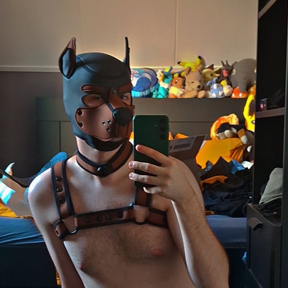 Pup Robbie