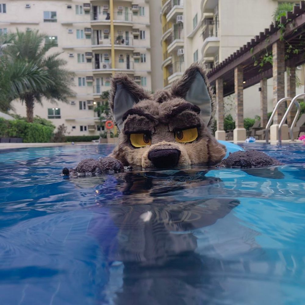 John Furry 