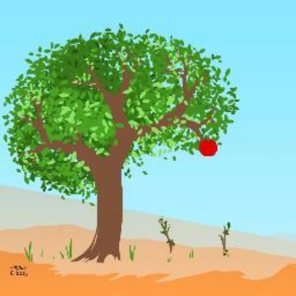 CZH Educational Therapy for 2e/Gifted & Fractal Thinkers