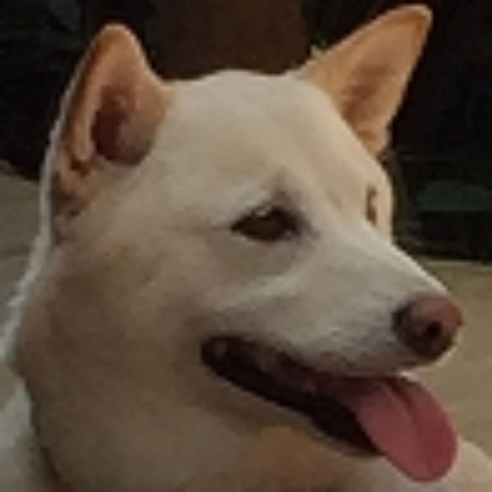PokuG