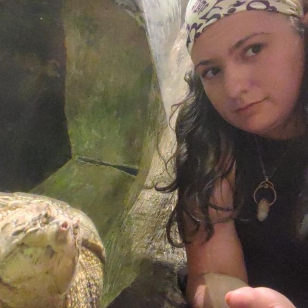 BK Shipps 🐢