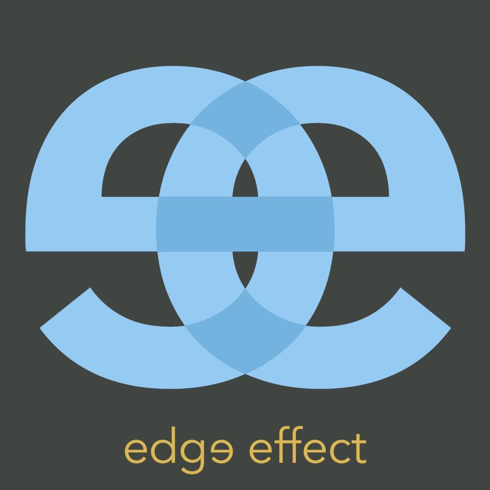 Edge Effect Media Group