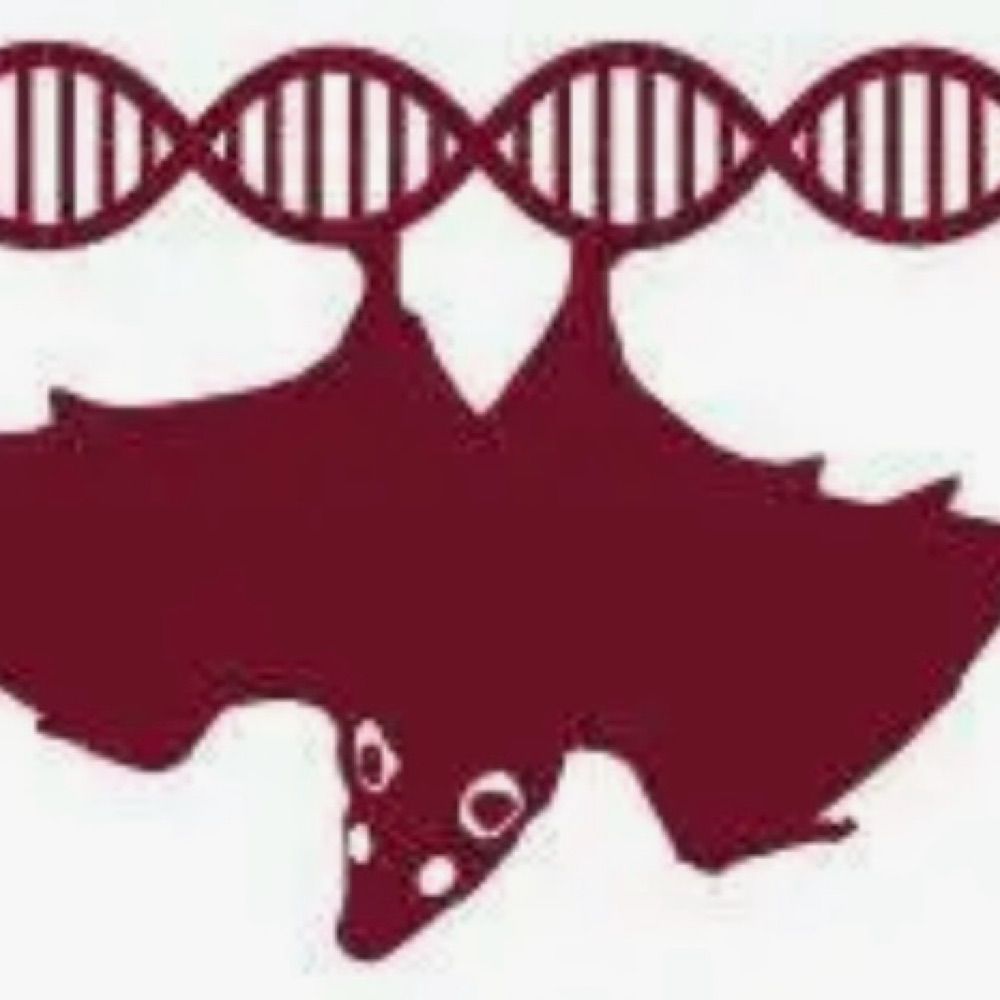 Bat1K Genome Project