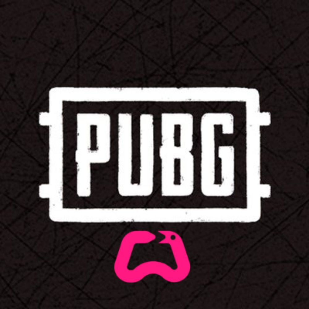 PUBG Wiki