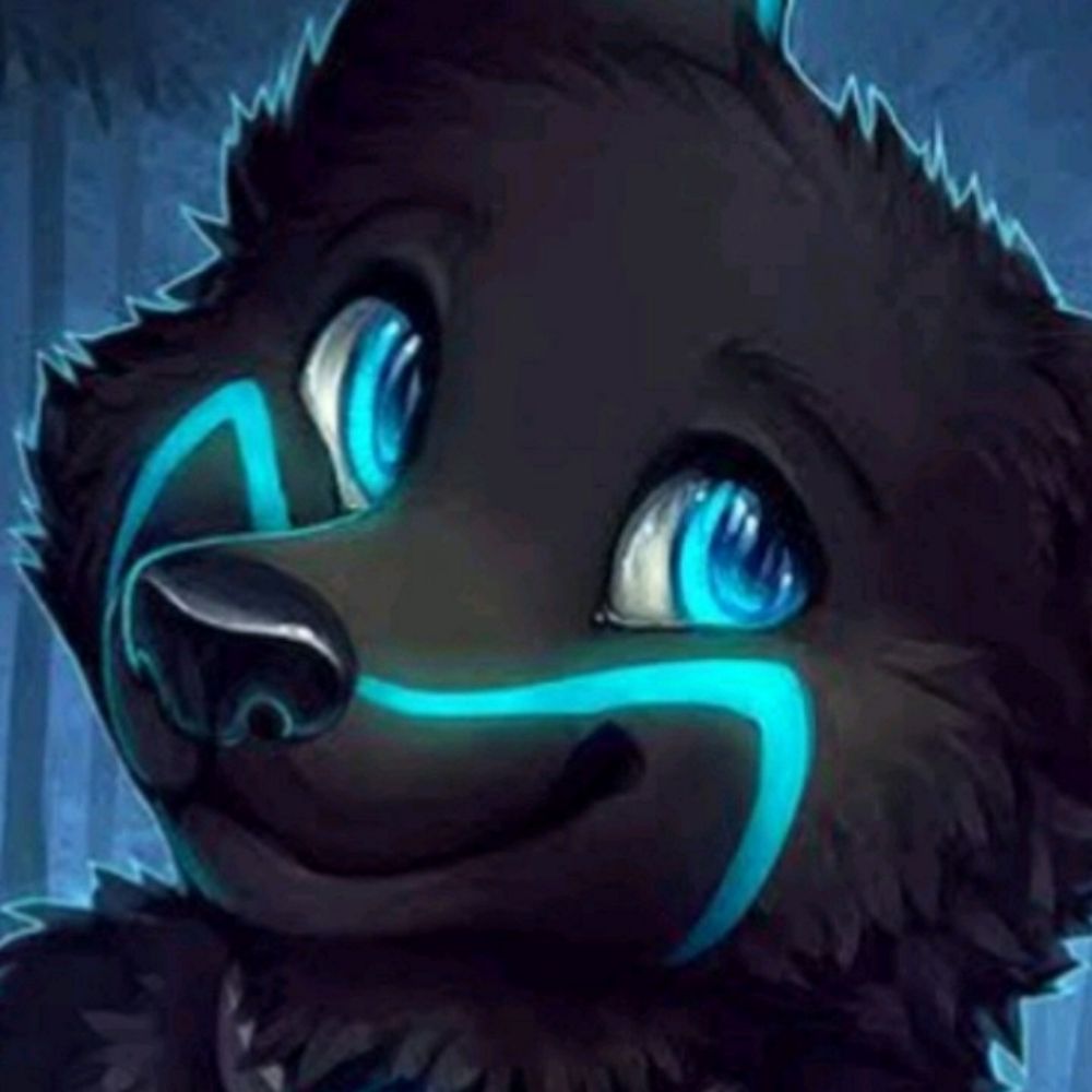 sparrow_avatar_97271