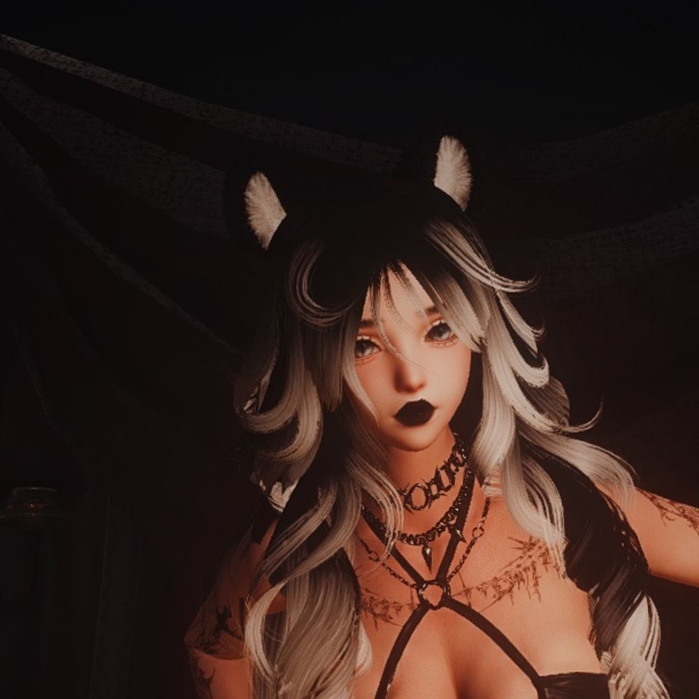 Tomo ꒰ᐢ. .ᐢ꒱