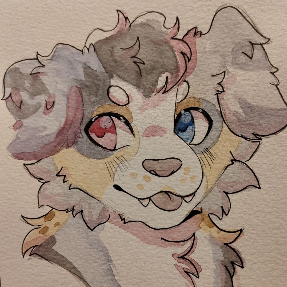 🍂 Autumn the Aussie 🍁