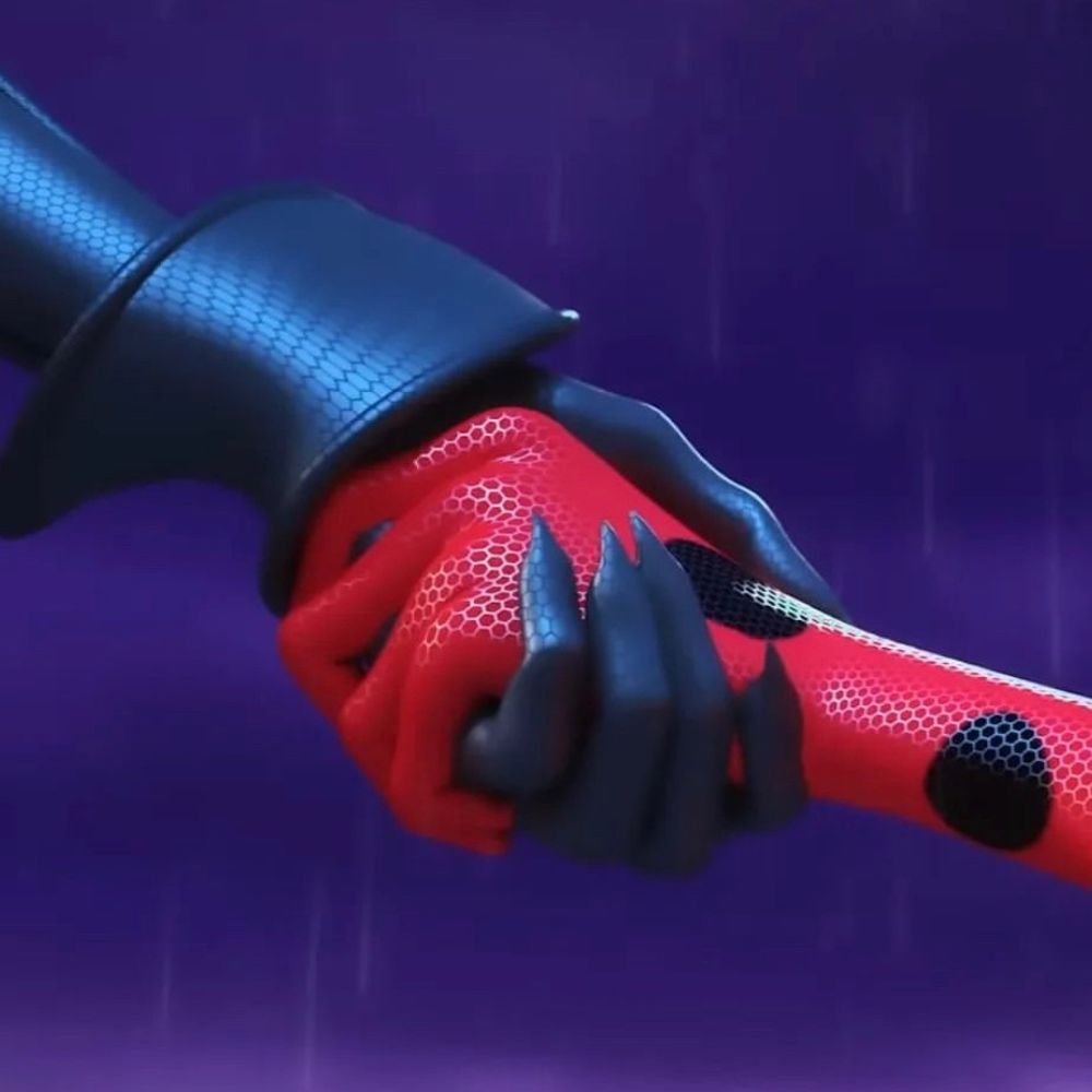 🐞🐈‍⬛