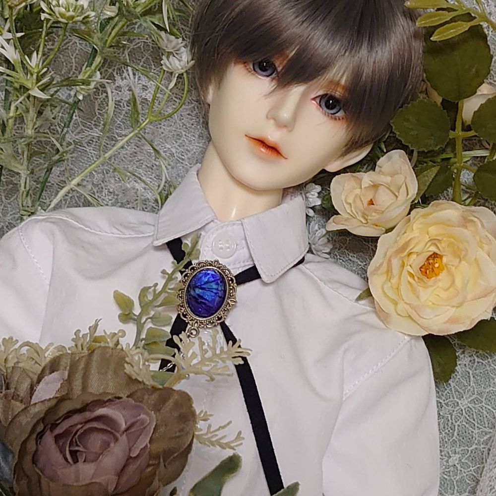 星伽✩.*˚Doll