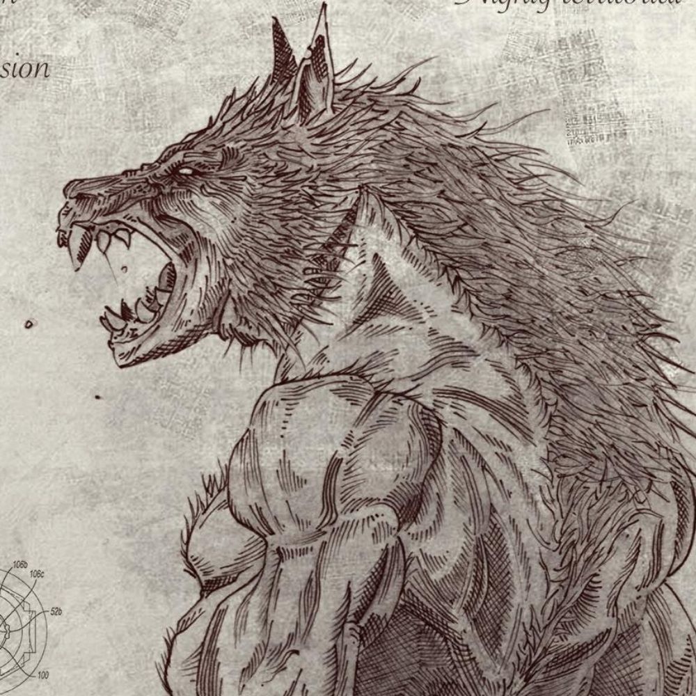TheRavenBlackWolf