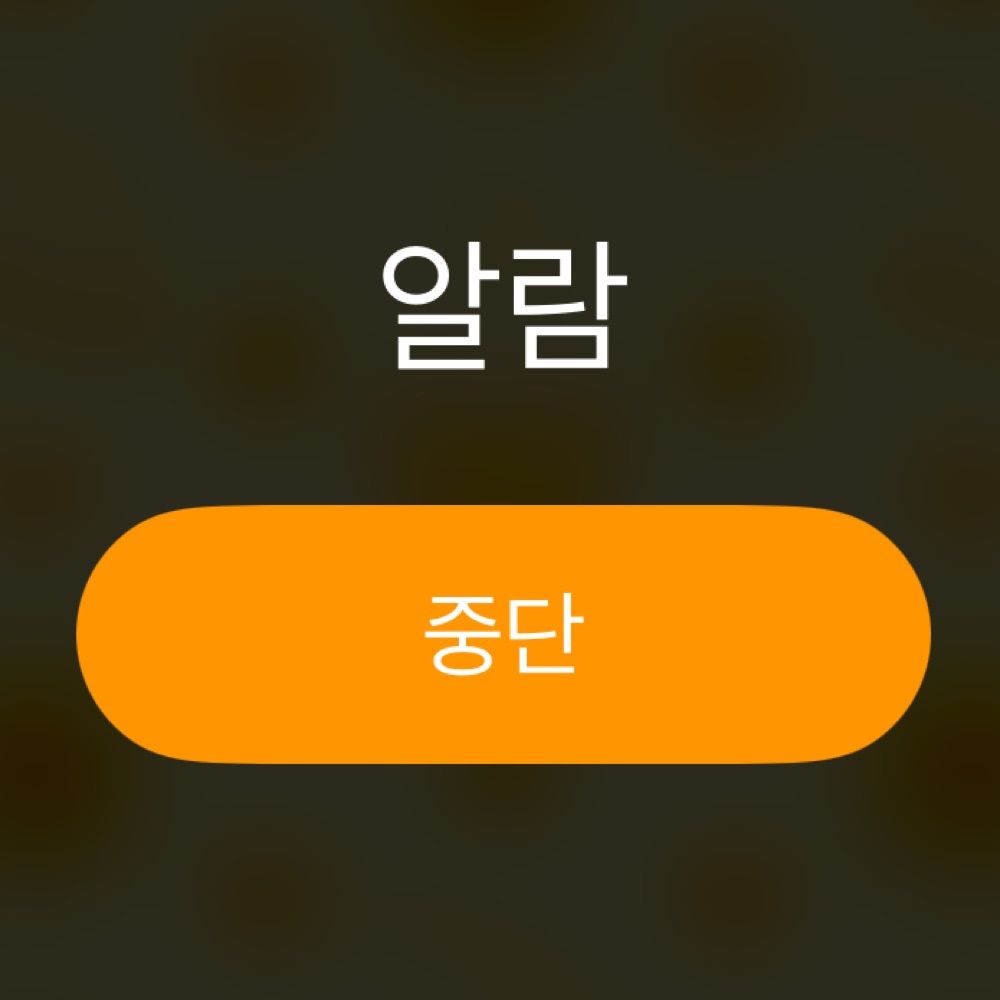 치치