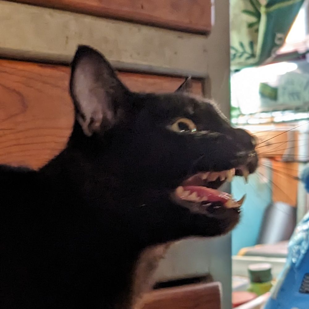 Nora