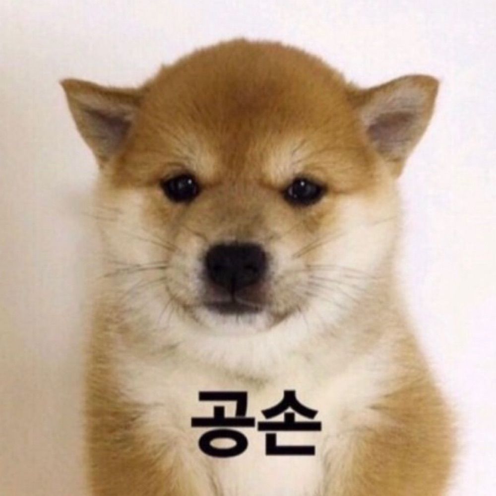 개죽이
