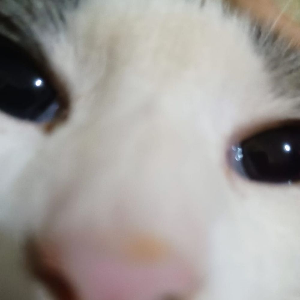 Anaaaa