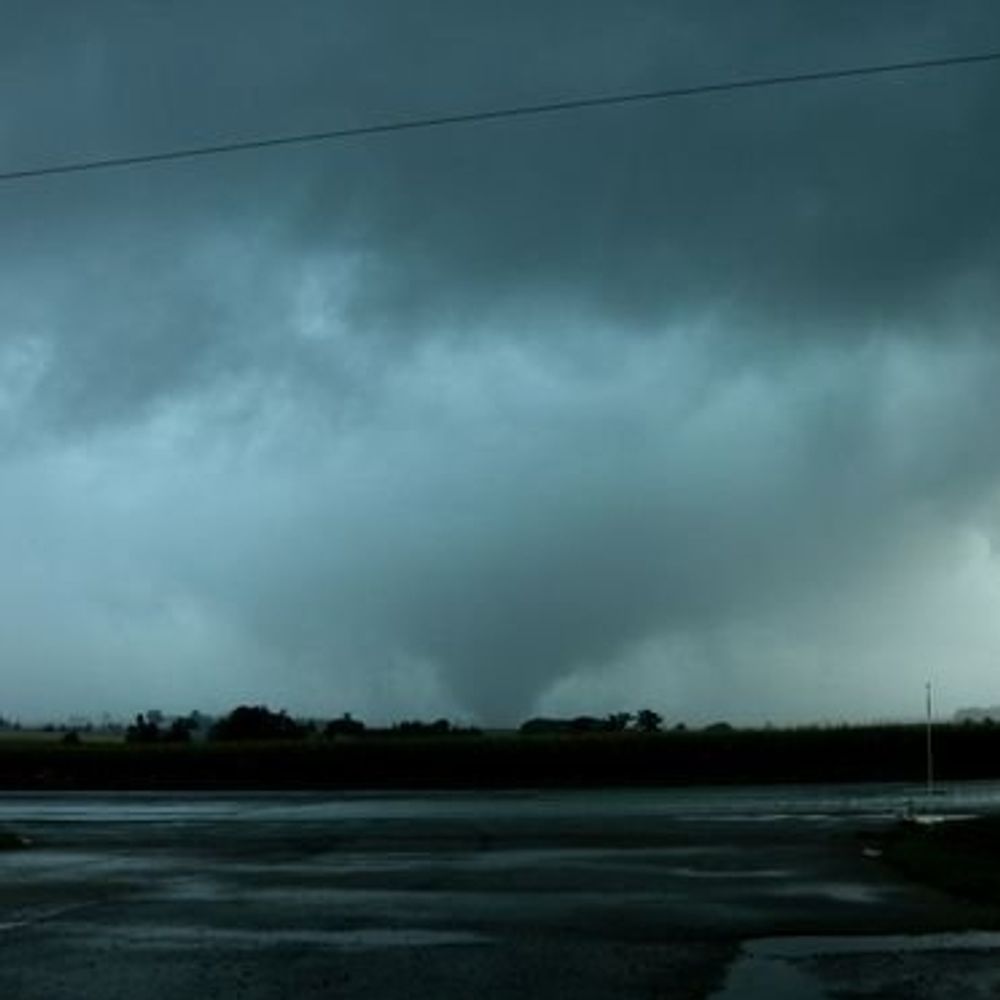 Mark Benest wx