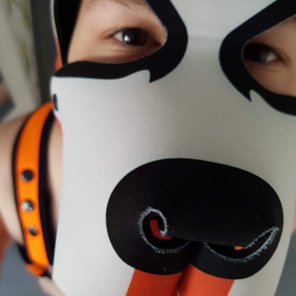 Foxy