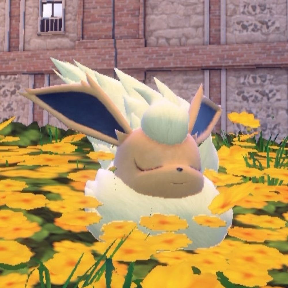 モフネ