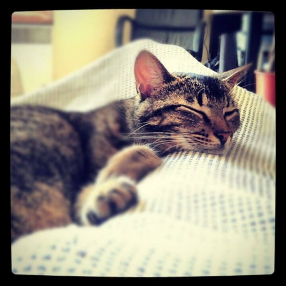 Lucas