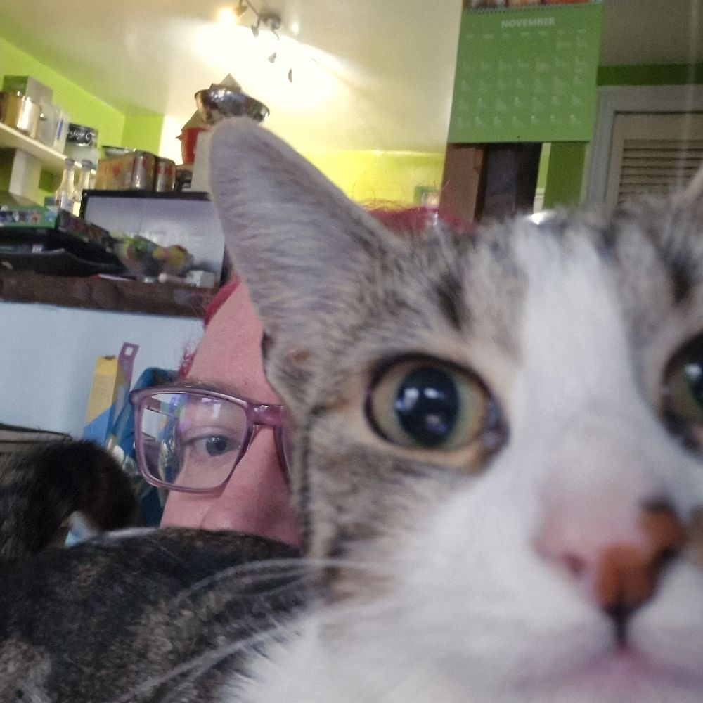 Lee McCat