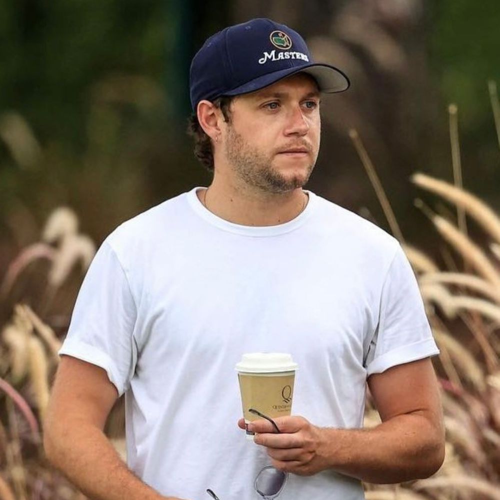 Niall Horan Updates