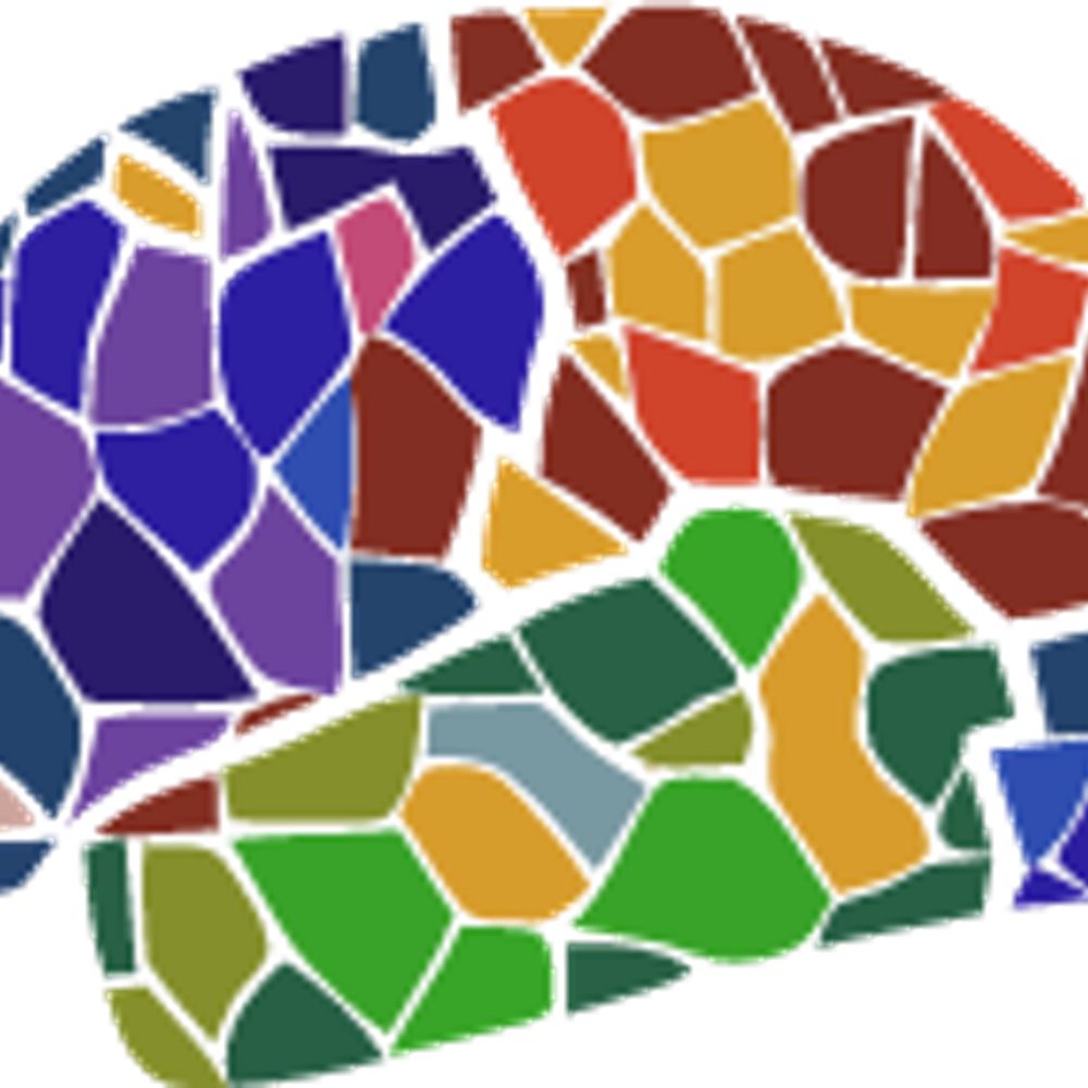 Center for Brain and Cognition