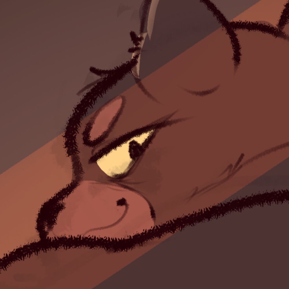 Ursa Majora🧸