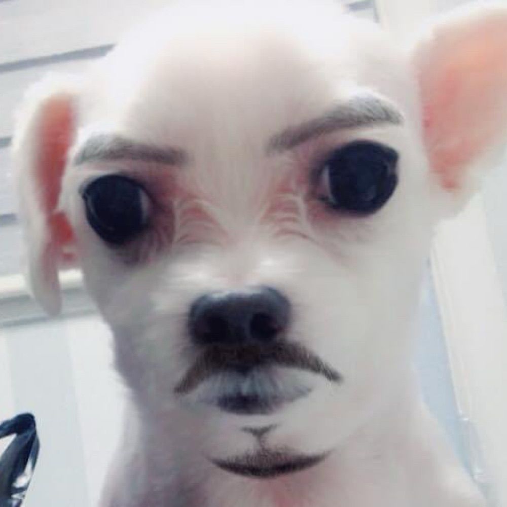 개라슥아