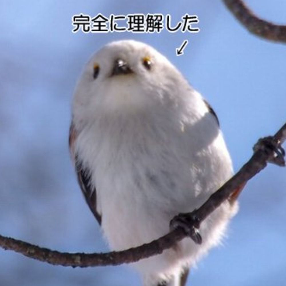 せりエナガ