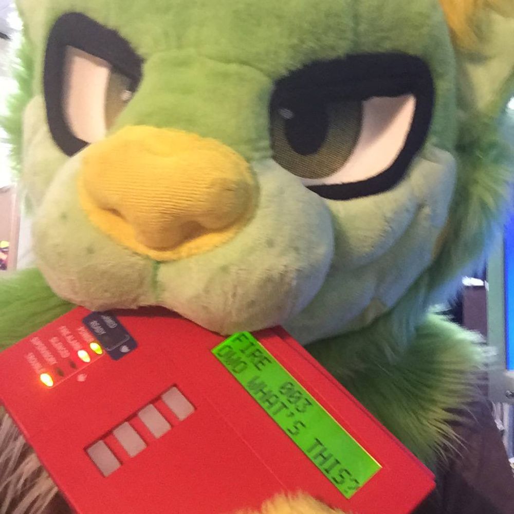 CitronLemonCat