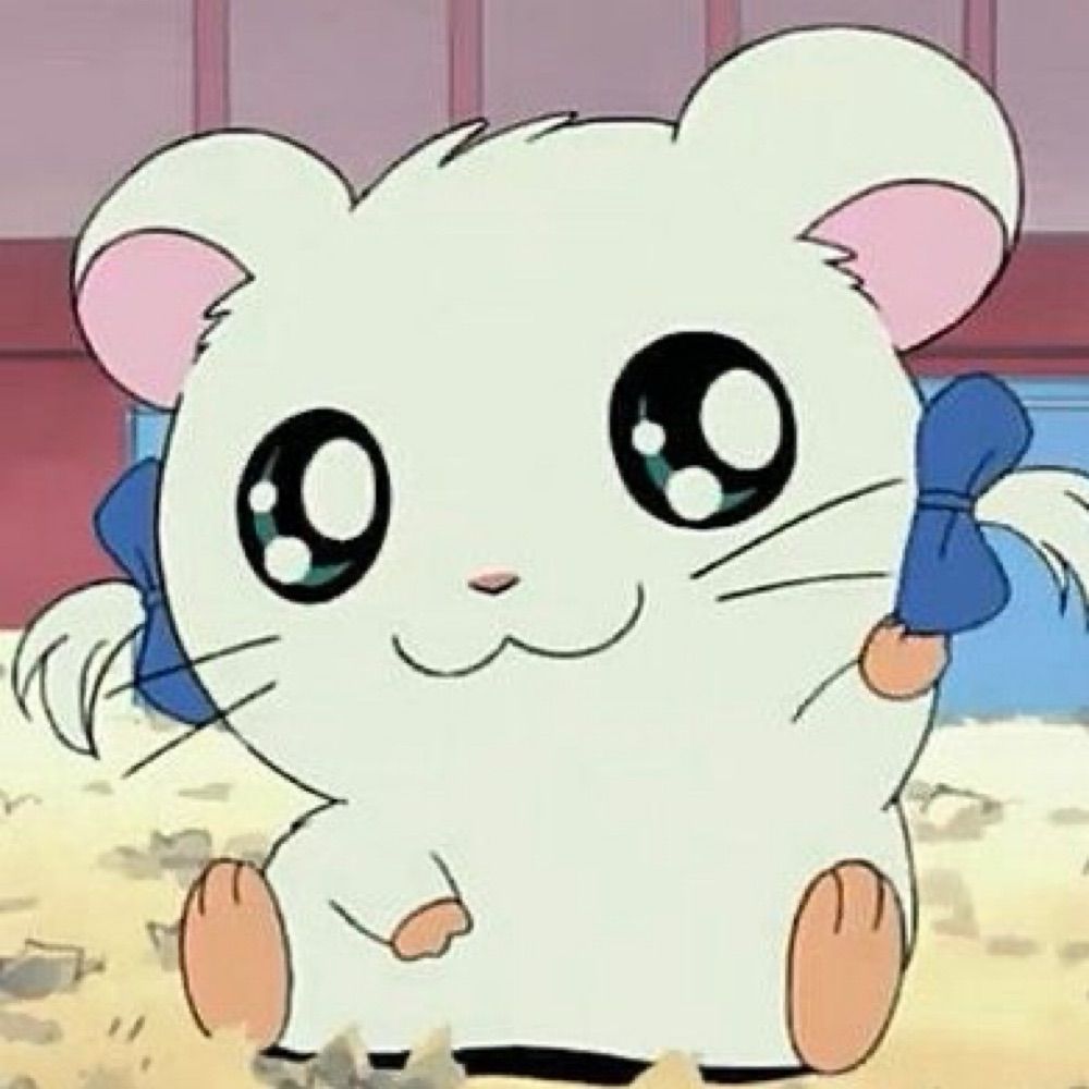 りぼん